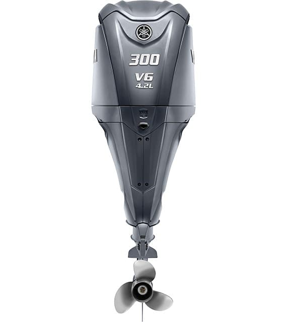 Yamaha F300